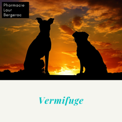 Vermifuge Bergerac Pharmacie Laur