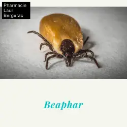 Beaphar pharmacie