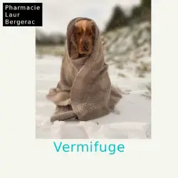 Vermifugeer ses animaux à Bergerac
