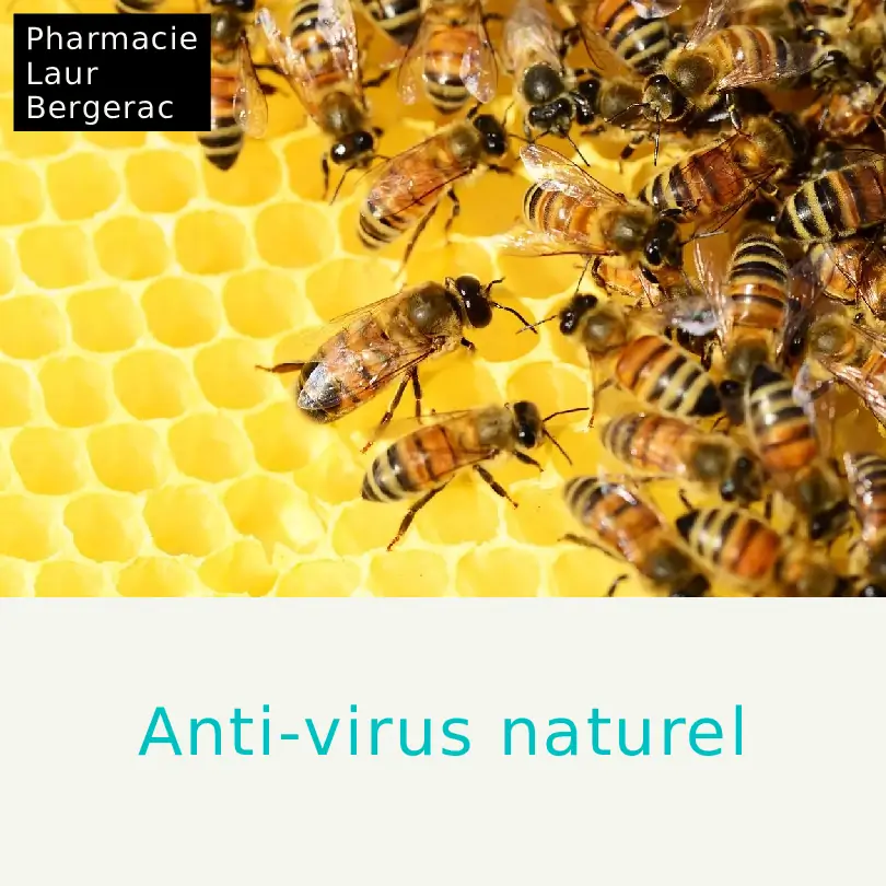 Propolis miel immunité pharmacie Bergerac