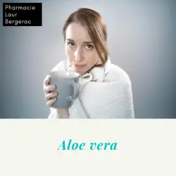 Aloe vera en Pharmacie.
