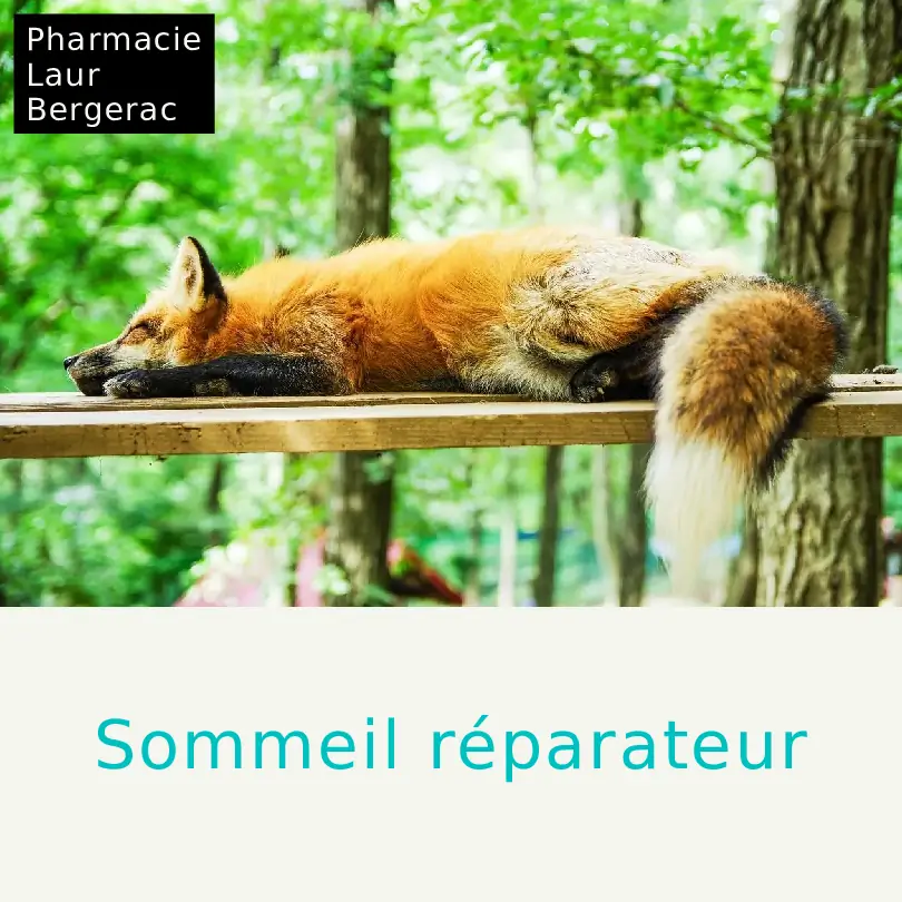 Sommeil réparateur mélatonine plantes pharmacie Bergerac
