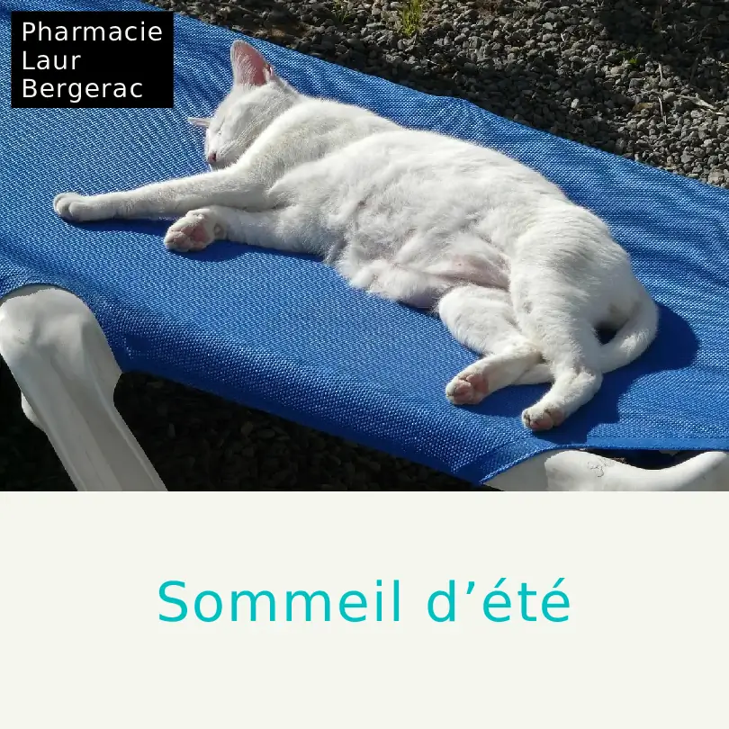 Sommeil été mélatonine plantes pharmacie Bergerac