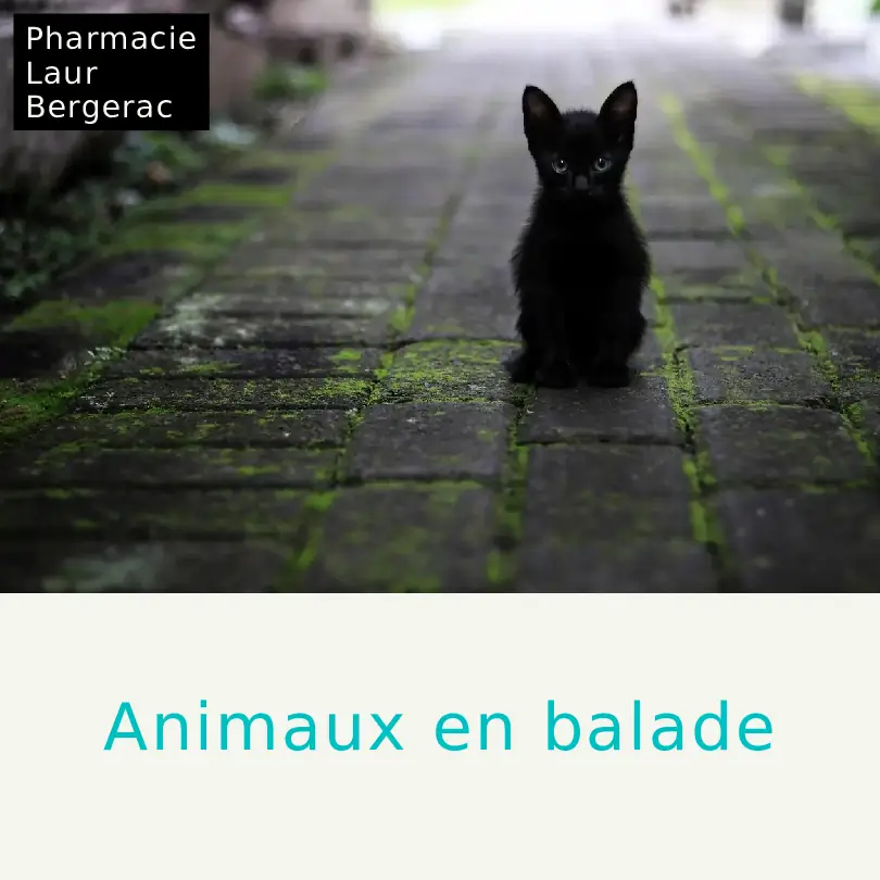 Spray répulsif animaux pharmacie Bergerac