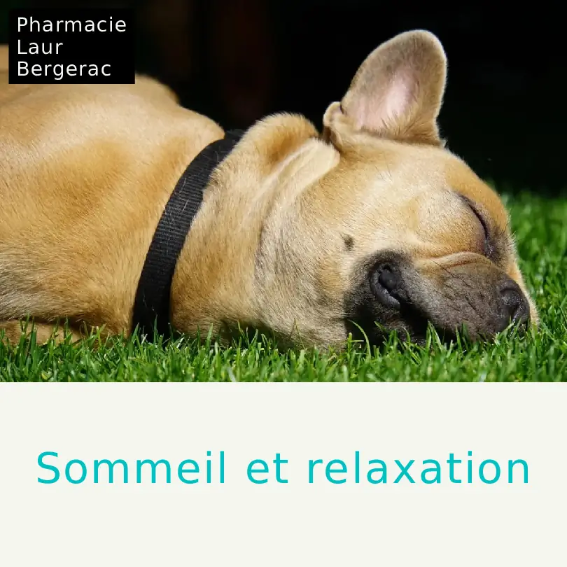 Sommeil relaxation tisanes plantes pharmacie Bergerac