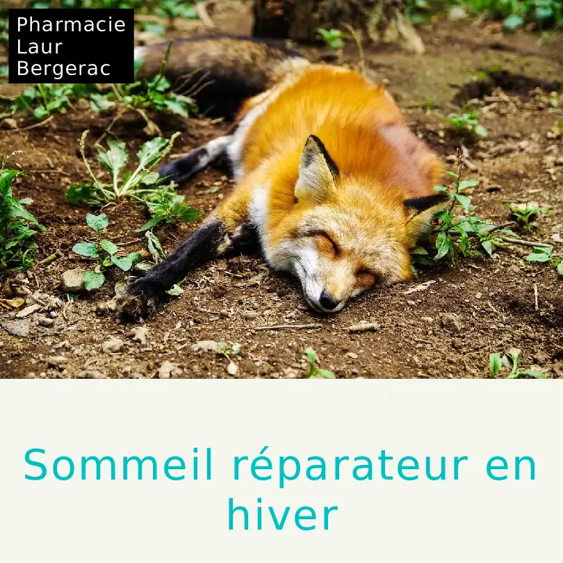 Sommeil réparateur plantes relaxantes mélatonine hiver pharmacie Bergerac