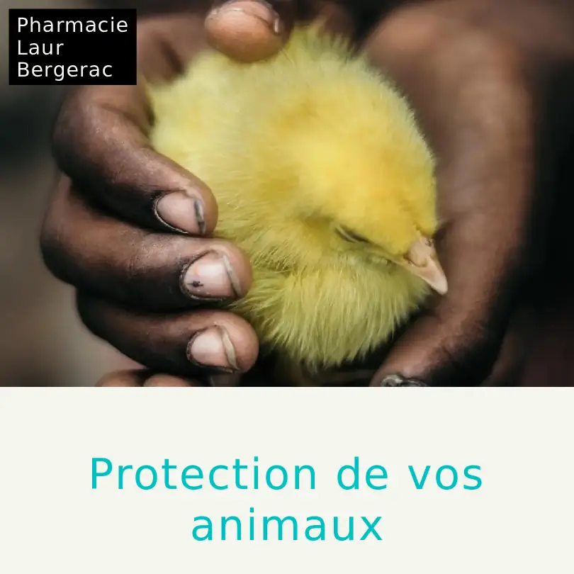 Protection animaux soins anti-parasites automne pharmacie Bergerac