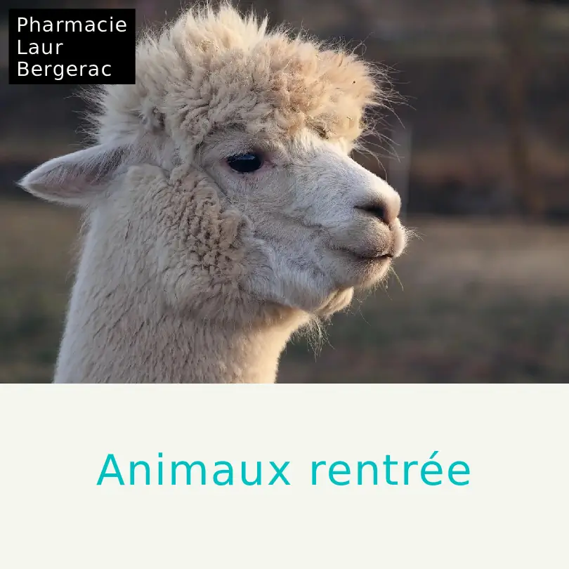Soins animaux rentrée protection santé pharmacie Bergerac